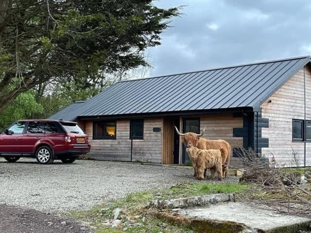 New Build Lodge With Stunning Views Of Loch Awe Hayfield  Buitenkant foto